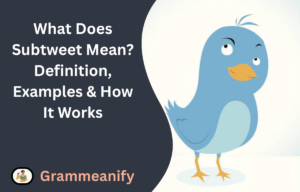 What Does Subtweet Mean? Definition, Examples & How It Works